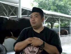 GENERASI BETAWI SUKSES BERWIRAUSAHA TERNAK SAPI KAPASITAS 350 EKOR