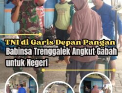 TNI di Garis Depan Pangan: Babinsa Trenggalek Angkut Gabah untuk Negeri