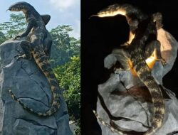 Patung Hewan Biawak Objek Wisata Unik Menarik  Perhatian