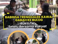Babinsa Trenggalek Kawal Gabah ke Bulog, Bukti TNI Selalu Bersama Rakyat
