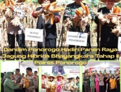 Dandim Ponorogo Hadiri Panen Raya Jagung Hibrida Bhayangkara Tahap II Polres Ponorogo