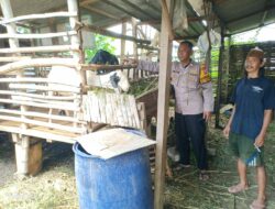Polisi Cek Lahan Peternakan, Dukung Ketahanan Pangan Desa Kenongo