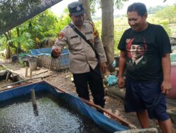 Ubah Lahan Kosong Untuk Budidaya Lele