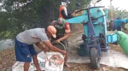 Babinsa Menganti Dorong Serapan Gabah Maksimal di Wilayah