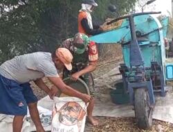 Babinsa Menganti Dorong Serapan Gabah Maksimal di Wilayah