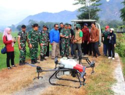 Sawah Diserang Wereng, TNI Turun Tangan! Drone Jadi Senjata Baru Petani Trenggalek