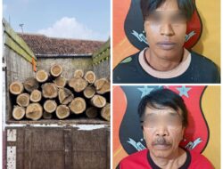 Polres Sragen Ungkap Aksi Pembalakan Liar di Hutan Jenar, Dua Pelaku Diamankan
