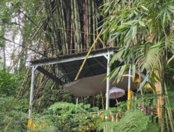 MENYINGKAP JEJAK SEJARAH: TEMPAT PERTAPAAN PRABU TAWANGALUN DI ROWO BAYU, BANYUWANGI