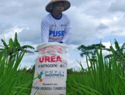 HIDROGEN UNTUK PUPUK: TEROBOSAN BARU KETAHANAN PANGAN INDONESIA 