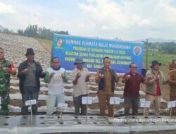 Sinergi Babinsa Dan BUMNag, Penanaman Kentang Di Mardingding Jadi Harapan Baru Ekonomi Warga