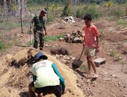 Babinsa Serma Duarte Dampingi Penyiapan Pupuk Dasar Pada Lubang Tanaman Anggur