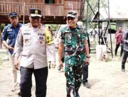 Pangdam XVII/Cenderawasih Hadiri Panen Raya Jagung Serentak