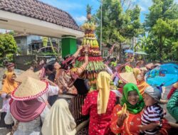 Warga Getasari Gelar Kirab Budaya, Simbol Syukur Dan Guyub Rukun