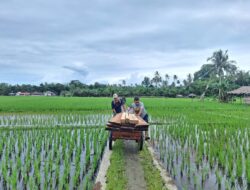 Personil Koramil 09/Sirombu Bantu Pelangsiran Material Pada Kegiatan Oplah Di Desa Lahusa