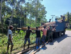 Babinsa Koramil 02/Walakaka Bantu Warga Angkut Kayu Untuk Bangun Rumah