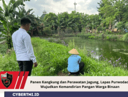 Panen Kangkung dan Perawatan Jagung, Lapas Purwodadi Wujudkan Kemandirian Pangan Warga Binaan