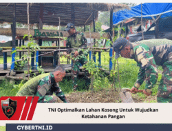 TNI Optimalkan Lahan Kosong Untuk Wujudkan Ketahanan Pangan
