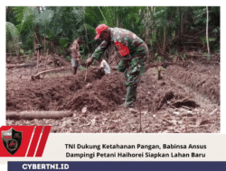 TNI Dukung Ketahanan Pangan, Babinsa Ansus Dampingi Petani Haihorei Siapkan Lahan Baru