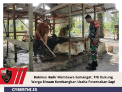 Babinsa Hadir Membawa Semangat, TNI Dukung Warga Binaan Kembangkan Usaha Peternakan Sapi