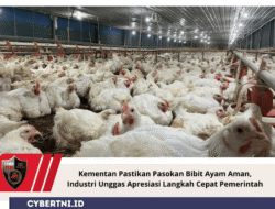 Kementan Pastikan Pasokan Bibit Ayam Aman, Industri Unggas Apresiasi Langkah Cepat Pemerintah