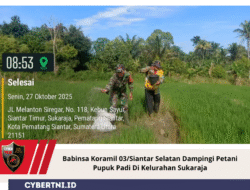 Babinsa Koramil 03/Siantar Selatan Dampingi Petani Pupuk Padi Di Kelurahan Sukaraja