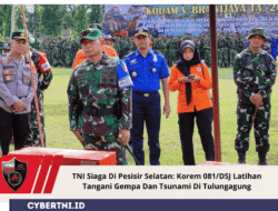 TNI Siaga Di Pesisir Selatan: Korem 081/DSJ Latihan Tangani Gempa Dan Tsunami Di Tulungagung