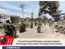 Personel Koramil 08/Bangun Lanjutkan Kegiatan Pemotongan Pohon Rawan Tumbang Di Jalan Asahan