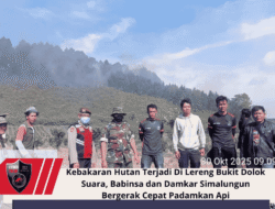 Kebakaran Hutan Terjadi Di Lereng Bukit Dolok Suara, Babinsa dan Damkar Simalungun Bergerak Cepat Padamkan Api