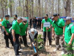 Sinergi Perhutani Jombang Dan BPBD Mojokerto, Tanam Pohon Peringati Bulan Pengurangan Resiko Bencana