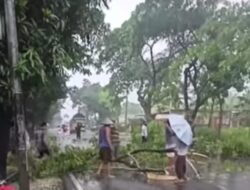 Hujan Deras disertai Angin Puluhan Pohon Tumbang Dua Bangunan Rusak