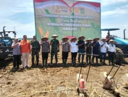 Danramil 05/Serbalawan Hadiri Kegiatan Penanaman Jagung Serentak Kuartal IV Di Nagori Purbasari