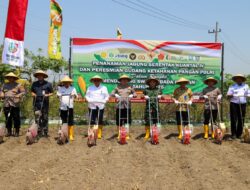 Polres Jombang Kolaborasi Tanam Jagung Serentak Di Desa Plosogenuk, Terhubung Virtual Dengan Wapres RI Dan Kapolri