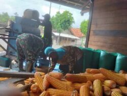 Babinsa Koramil 10/Tanah Jawa Aktif Dampingi Kegiatan Posyandu Di Nagori Mariah Jambi