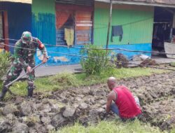 Dampingi Hingga Sukses Panen, Babinsa Koramil 1802-06/Klamono Motivasi Bapak Noldy.