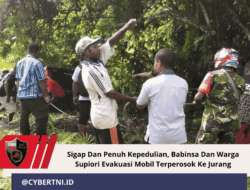 Sigap Dan Penuh Kepedulian, Babinsa Dan Warga Supiori Evakuasi Mobil Terperosok Ke Jurang