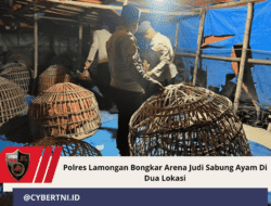 Polres Lamongan Bongkar Arena Judi Sabung Ayam Di Dua Lokasi