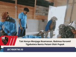 Tak Hanya Menjaga Keamanan, Babinsa Koramil Tigabalata Bantu Petani Olah Pupuk