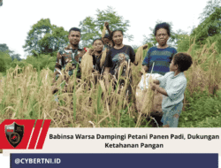 Babinsa Warsa Dampingi Petani Panen Padi, Dukungan Ketahanan Pangan