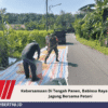 Kebersamaan Di Tengah Panen, Babinsa Raya Jemur Jagung Bersama Petani