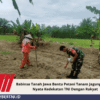 Babinsa Tanah Jawa Bantu Petani Tanam Jagung, Wujud Nyata Kedekatan TNI Dengan Rakyat