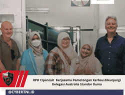 RPH Cipancuh  Kerjasama Pemotongan Kerbau dikunjungi  Delegasi Australia Standar Dunia