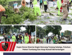 Hujan Deras Disertai Angin Kencang Terjang Salatiga, Puluhan Pohon Tumbang Dan Atap Rumah Berterbangan