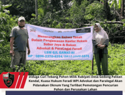 Diduga Curi Tebang Pohon Milik Rubiyati Desa Gedong Patean Kendal, Kuasa Hukum Feradi WPI Advokat dan Paralegal Akan Pidanakan Oknum Yang Terlibat Pemotongan Pencurian Pohon dan Perusakan Lahan
