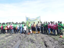 Perhutani KPH Jombang Bersama Muspika Tanam Ribuan Bibit Di Sumber Agung, Nganjuk