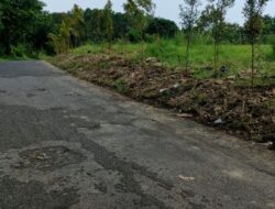 Rekomendasi Utama “Pengusaha Diduga Tanam Pohon Di Lahan Warga Tanpa Izin: Ahli Hukum Tegaskan Unsur Pidana Terpenuhi