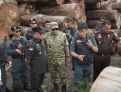 Rugikan Negara Rp447 Miliar, Kasus ILLEGAL LOGGING SIPORA Masuk Tahap Pengadilan