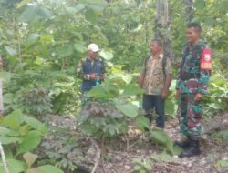 TNI AD Dukung Pembangunan Koperasi Desa Merah Putih Di Rote Ndao