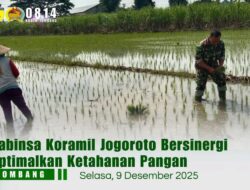 Babinsa Koramil Jogoroto Bersinergi Optimalkan Ketahanan Pangan