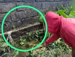 DLH Kabupaten Madiun Pantau Seluruh SPPG Terkait Dugaan Pencemaran Limbah