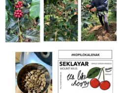 Pemerintah Mendorong Peningkatan Produktivitas Kopi Nasional Sumber Dana Tahun 2025 Rp 289 Milliar